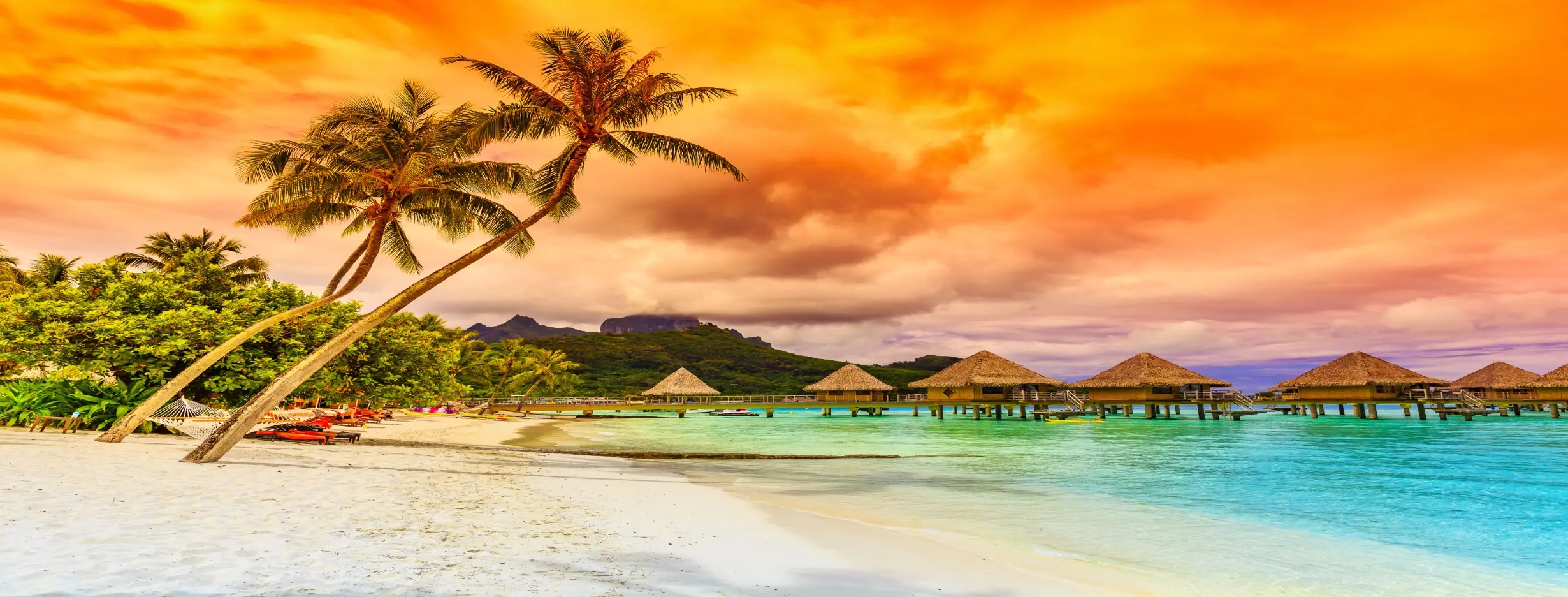 Image for Tropical Paradise